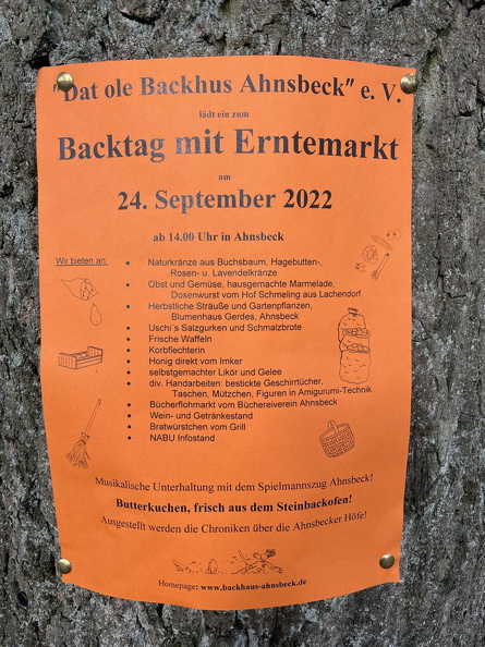 2022-09-11 Poster Backtag am Baum 001.jpg